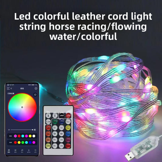 TouchsmartEF | Intelligent leather line light string outdoor waterproof three-wire led light string