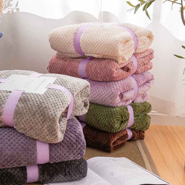 Cross-border foreign trade thickened pineapple plaid blanket flannel sofa blanket autumn and winter gifts coral fleece blanket pet blanket